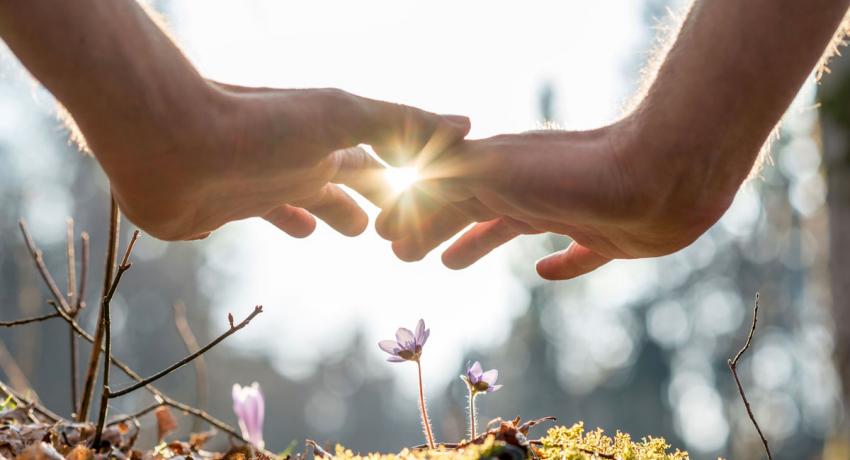 Reiki Reiki